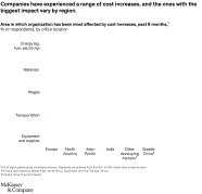 Cost Concerns McKinsey Company